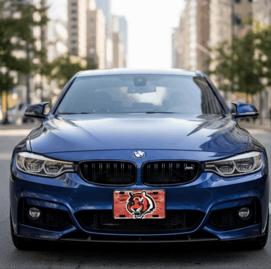 Cincinnati Bengals license plate