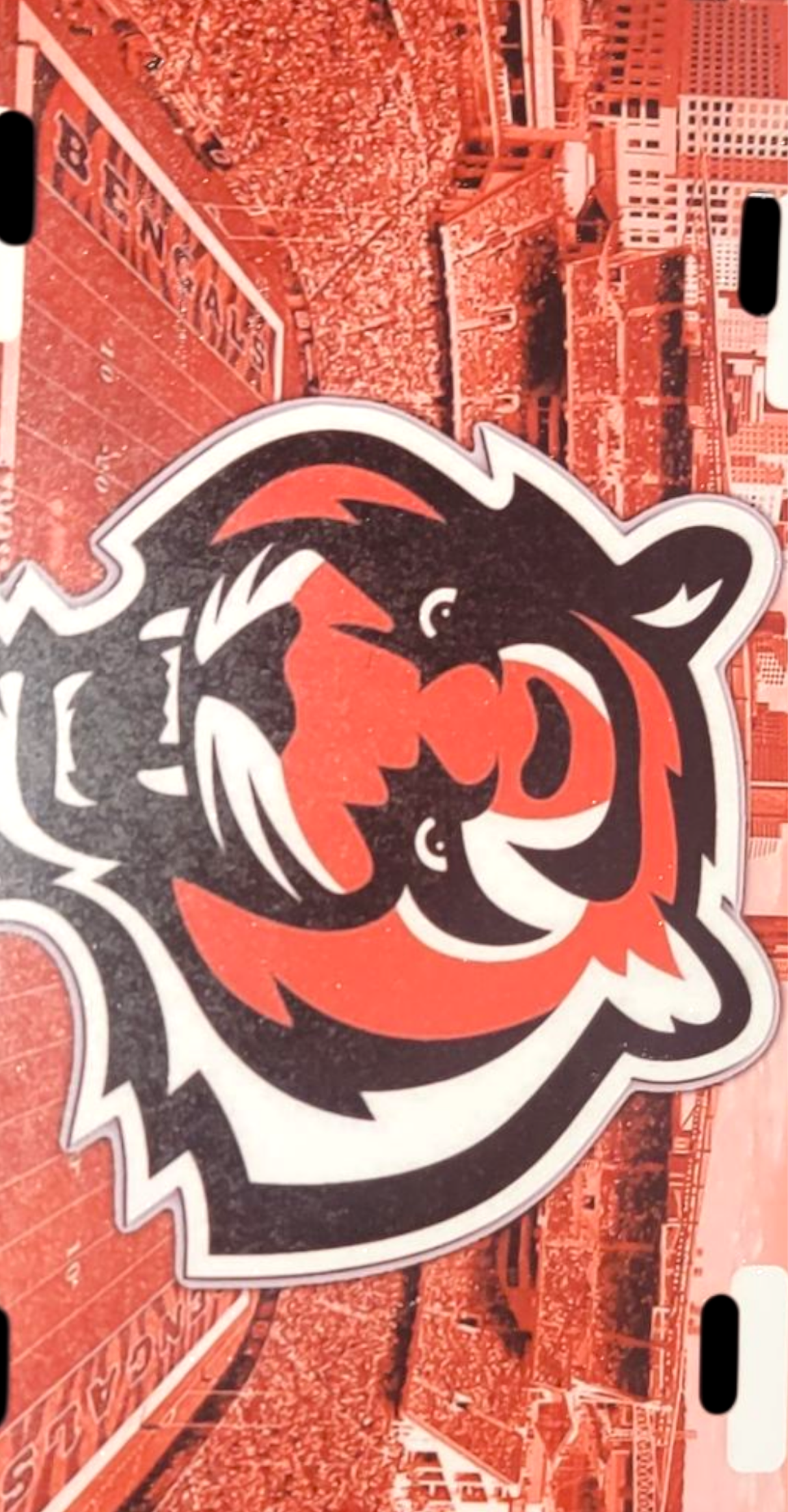 Cincinnati Bengals license plate